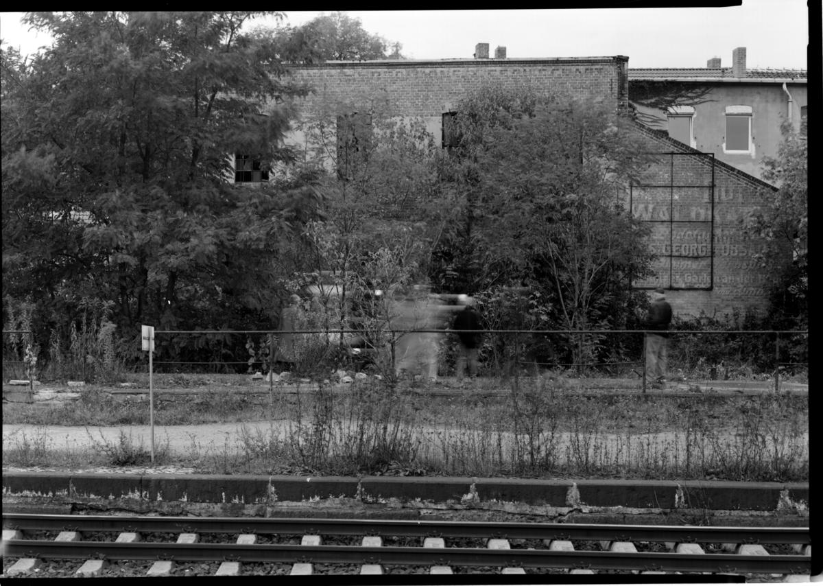 ../jpg1200/13x18sw_20041016_02.jpg
